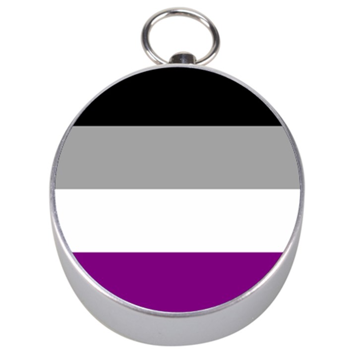 Asexual Pride Flag LGBTQ Silver Compasses