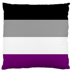 Asexual Pride Flag Lgbtq Large Flano Cushion Case (two Sides) by lgbtnation