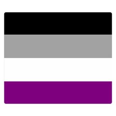 Asexual Pride Flag Lgbtq Double Sided Flano Blanket (small)  by lgbtnation