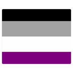 Asexual Pride Flag Lgbtq Double Sided Flano Blanket (medium)  by lgbtnation