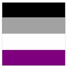 Asexual Pride Flag Lgbtq Large Satin Scarf (square) by lgbtnation