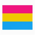 Pansexual Pride Flag Small Glasses Cloth Front