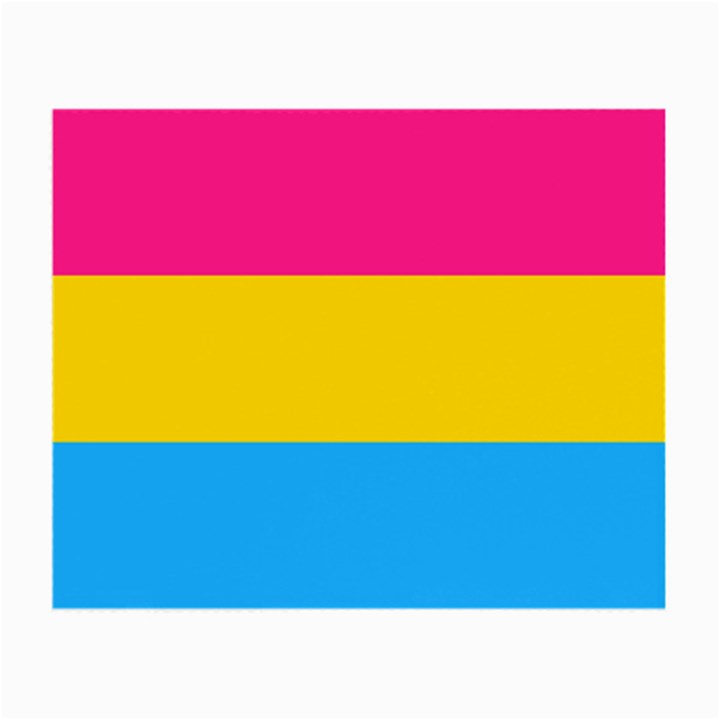 Pansexual Pride Flag Small Glasses Cloth