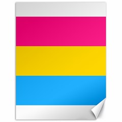 Pansexual Pride Flag Canvas 18  X 24  by lgbtnation