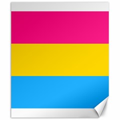 Pansexual Pride Flag Canvas 20  X 24  by lgbtnation