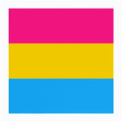 Pansexual Pride Flag Medium Glasses Cloth by lgbtnation