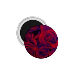 Roses Red Purple Flowers Pretty 1 75  Magnets by Pakrebo