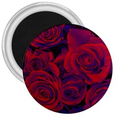 Roses Red Purple Flowers Pretty 3  Magnets by Pakrebo