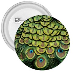 Peacock Feathers Peacock Bird 3  Buttons by Pakrebo