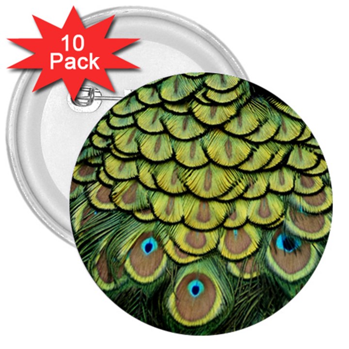 Peacock Feathers Peacock Bird 3  Buttons (10 pack) 