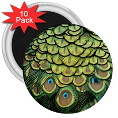 Peacock Feathers Peacock Bird 3  Magnets (10 Pack)  by Pakrebo