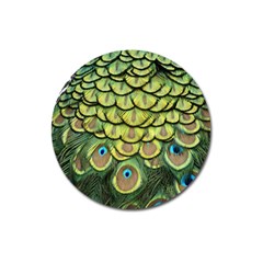 Peacock Feathers Peacock Bird Magnet 3  (round) by Pakrebo