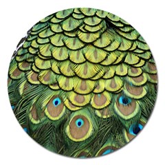 Peacock Feathers Peacock Bird Magnet 5  (round) by Pakrebo