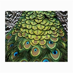 Peacock Feathers Peacock Bird Small Glasses Cloth by Pakrebo