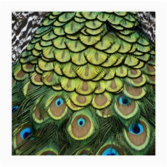 Peacock Feathers Peacock Bird Medium Glasses Cloth by Pakrebo