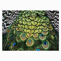 Peacock Feathers Peacock Bird Large Glasses Cloth (2 Sides) by Pakrebo