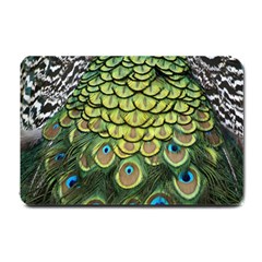 Peacock Feathers Peacock Bird Small Doormat  by Pakrebo