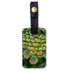 Peacock Feathers Peacock Bird Luggage Tag (one Side) by Pakrebo