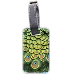 Peacock Feathers Peacock Bird Luggage Tag (two Sides) by Pakrebo