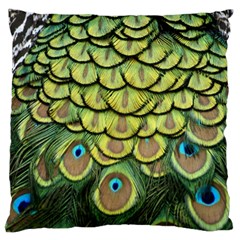 Peacock Feathers Peacock Bird Large Cushion Case (two Sides) by Pakrebo