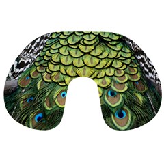 Peacock Feathers Peacock Bird Travel Neck Pillow by Pakrebo