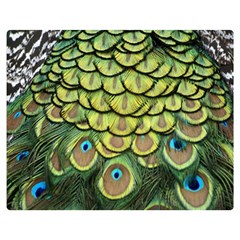 Peacock Feathers Peacock Bird Double Sided Flano Blanket (medium)  by Pakrebo