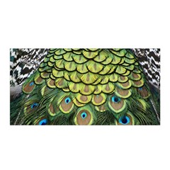 Peacock Feathers Peacock Bird Satin Wrap by Pakrebo