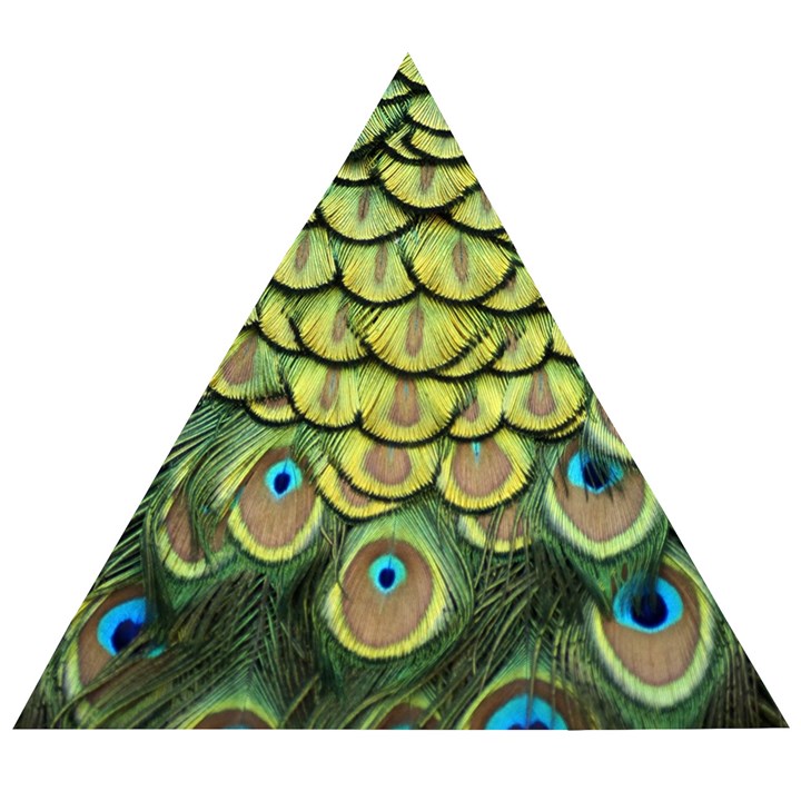 Peacock Feathers Peacock Bird Wooden Puzzle Triangle