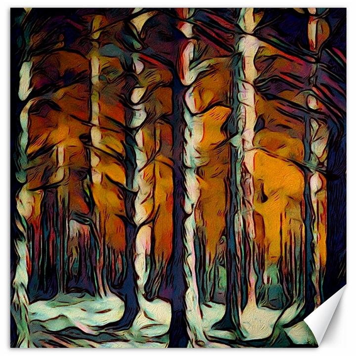 Forest Woods Trees Night Shadows Canvas 12  x 12 