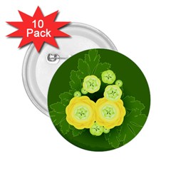 Buttercup Ranunculus Globe Flower 2 25  Buttons (10 Pack)  by Pakrebo