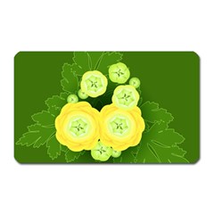 Buttercup Ranunculus Globe Flower Magnet (rectangular) by Pakrebo