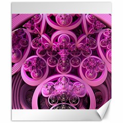 Fractal Math Geometry Visualization Pink Canvas 8  X 10  by Pakrebo