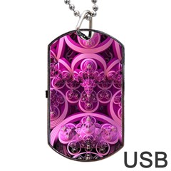 Fractal Math Geometry Visualization Pink Dog Tag Usb Flash (one Side) by Pakrebo