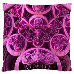 Fractal Math Geometry Visualization Pink Standard Flano Cushion Case (one Side) by Pakrebo