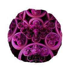 Fractal Math Geometry Visualization Pink Standard 15  Premium Flano Round Cushions by Pakrebo