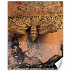 Night Moth Canvas 11  X 14  by Riverwoman