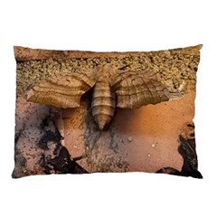 Night Moth Pillow Case by Riverwoman