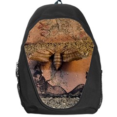 Night Moth Backpack Bag by Riverwoman