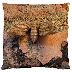 Night Moth Standard Flano Cushion Case (two Sides) by Riverwoman