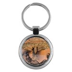 Night moth Key Chain (Round) Front