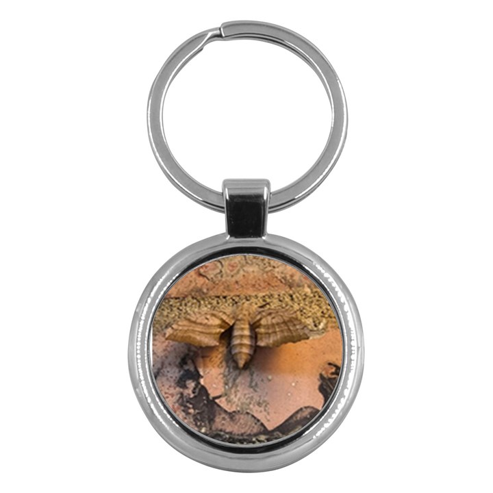 Night moth Key Chain (Round)