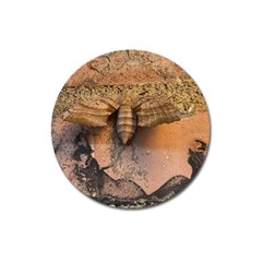 Night Moth Magnet 3  (round) by Riverwoman