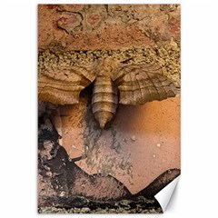 Night Moth Canvas 12  X 18  by Riverwoman