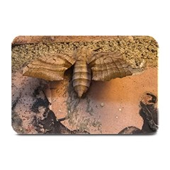 Night Moth Plate Mats by Riverwoman