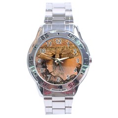 Night Moth Stainless Steel Analogue Watch by Riverwoman