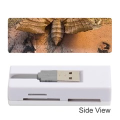 Night Moth Memory Card Reader (stick) by Riverwoman