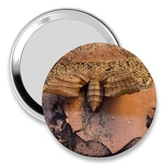 Night Moth 3  Handbag Mirrors by Riverwoman