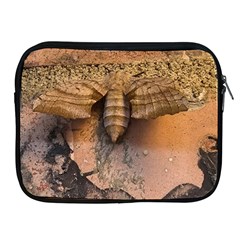 Night Moth Apple Ipad 2/3/4 Zipper Cases by Riverwoman