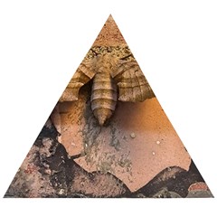 Night Moth Wooden Puzzle Triangle