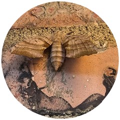 Night Moth Wooden Puzzle Round